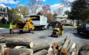 Best Tree Preservation Services  in Hoer, OK